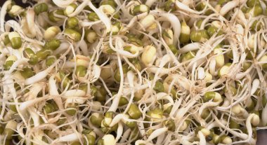 Yeşil gram veya moong tohumu tohumu yığınını kapat.