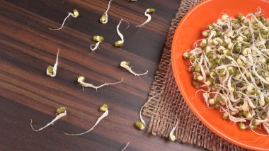 Yeşil gram veya moong tohumu tohumu yığınını kapat.