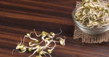 Yeşil gram veya moong tohumu tohumu yığınını kapat.