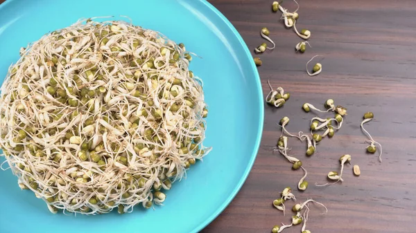 Close Pile Sprouted Seeds Green Gram Moong — Foto de Stock