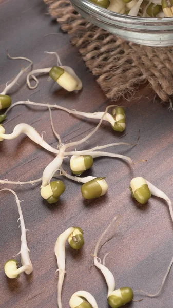 密闭成堆的绿豆或白豆发芽种子 — 图库照片