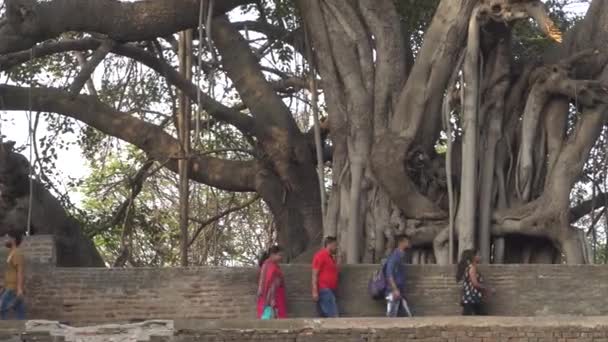 Pune Maharashtra India February 2020 Tourist Shaniwar Wada Fort Shaniwar — ストック動画