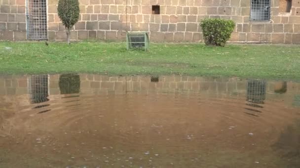 Pune Maharashtra India February 2020 Tourist Shaniwar Wada Fort Shaniwar — ストック動画