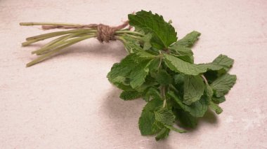 Pembe arka planda taze nane. Vejetaryen gıda yaşam tarzı konsepti, alanı kopyala.