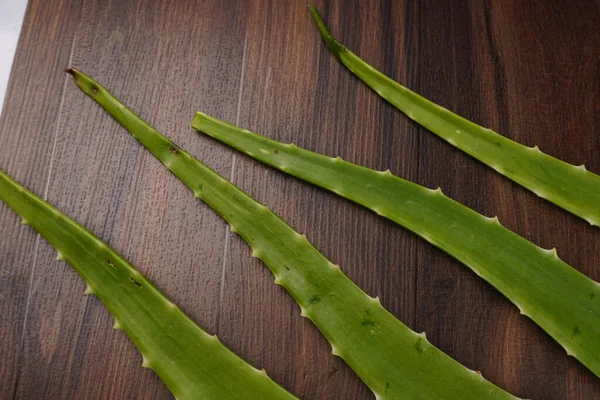 Färsk Aloe Vera Blad Trä Bakgrund Det Mycket Användbar Örtmedicin — Stockfoto