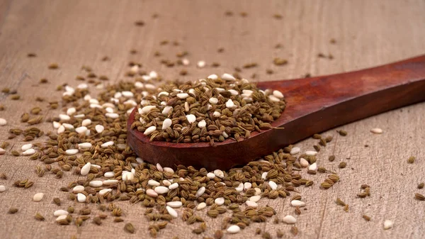 Funcho Uma Erva Altamente Aromática Saborosa Usada Culinária Bebidas São — Fotografia de Stock