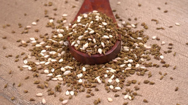 Funcho Uma Erva Altamente Aromática Saborosa Usada Culinária Bebidas São — Fotografia de Stock