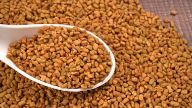 Beyaz seramik kaşık organik çemen otu tohumları Hint mutfağı malzemelerine yakın çekim