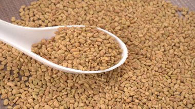 Beyaz seramik kaşık organik çemen otu tohumları Hint mutfağı malzemelerine yakın çekim