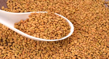 Beyaz seramik kaşık organik çemen otu tohumları Hint mutfağı malzemelerine yakın çekim