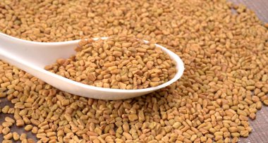 Beyaz seramik kaşık organik çemen otu tohumları Hint mutfağı malzemelerine yakın çekim