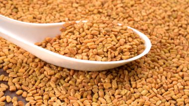 Beyaz seramik kaşık organik çemen otu tohumları Hint mutfağı malzemelerine yakın çekim