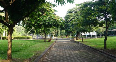 Yeşil yaz parkındaki patika 