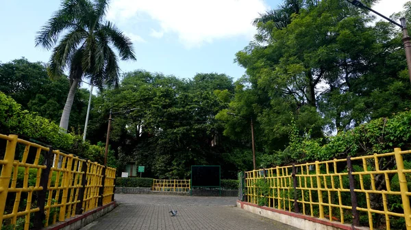 Jalan Taman Kota Dikelilingi Oleh Tanaman Hijau — Stok Foto