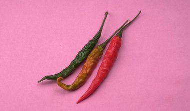 Uzun taze Hint yeşili ve kırmızı biberleri. Sıcak ve baharatlı yemekler için organik Hint baharatları..