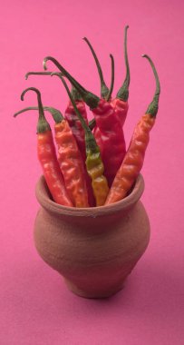 Uzun taze Hint yeşili ve kırmızı biberleri. Sıcak ve baharatlı yemekler için organik Hint baharatları..