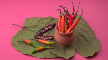 Uzun taze Hint yeşili ve kırmızı biberleri. Sıcak ve baharatlı yemekler için organik Hint baharatları..