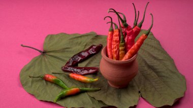 Uzun taze Hint yeşili ve kırmızı biberleri. Sıcak ve baharatlı yemekler için organik Hint baharatları..