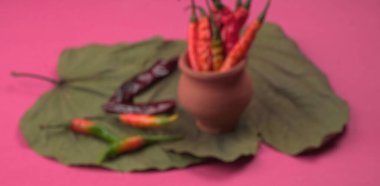 Uzun taze Hint yeşili ve kırmızı biberleri. Sıcak ve baharatlı yemekler için organik Hint baharatları..