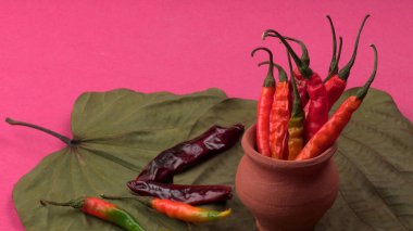 Uzun taze Hint yeşili ve kırmızı biberleri. Sıcak ve baharatlı yemekler için organik Hint baharatları..