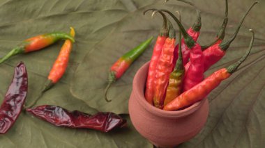 Uzun taze Hint yeşili ve kırmızı biberleri. Sıcak ve baharatlı yemekler için organik Hint baharatları..