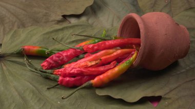 Uzun taze Hint yeşili ve kırmızı biberleri. Sıcak ve baharatlı yemekler için organik Hint baharatları..