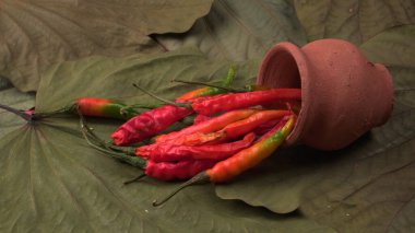 Uzun taze Hint yeşili ve kırmızı biberleri. Sıcak ve baharatlı yemekler için organik Hint baharatları..