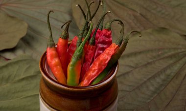 Uzun taze Hint yeşili ve kırmızı biberleri. Sıcak ve baharatlı yemekler için organik Hint baharatları..