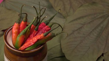 Uzun taze Hint yeşili ve kırmızı biberleri. Sıcak ve baharatlı yemekler için organik Hint baharatları..