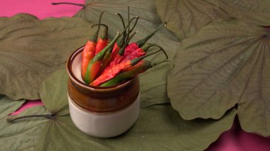 Uzun taze Hint yeşili ve kırmızı biberleri. Sıcak ve baharatlı yemekler için organik Hint baharatları..