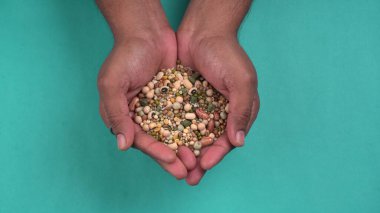 Mavi arka planda çeşitli fasulyeler olan kadın ellerinin yakınlaşması. Sağlıklı gıda konsepti