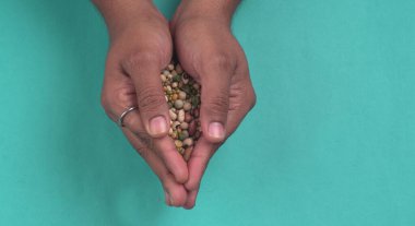 Mavi arka planda çeşitli fasulyeler olan kadın ellerinin yakınlaşması. Sağlıklı gıda konsepti