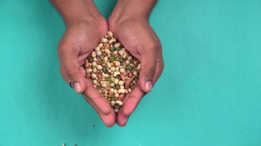 Mavi arka planda çeşitli fasulyeler olan kadın ellerinin yakınlaşması. Sağlıklı gıda konsepti