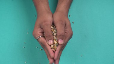 Mavi arka planda çeşitli fasulyeler olan kadın ellerinin yakınlaşması. Sağlıklı gıda konsepti