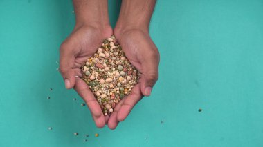 Mavi arka planda çeşitli fasulyeler olan kadın ellerinin yakınlaşması. Sağlıklı gıda konsepti