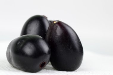 Jambul veya beyaz arka plan üzerinde izole tatlısı (Syzygium cumini)