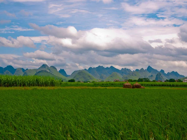 Field in the Yangshuo — Stock Photo, Image