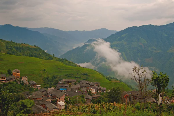 Rice fields — Stockfoto