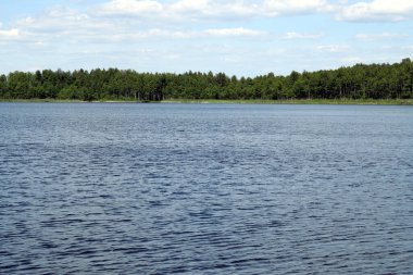 Su yüzeyi orman zeminine karşı. Mavi gökyüzü su yüzeyine yansıyor..