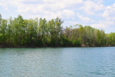 Suyun yanındaki ağaçların manzarası. Yeşil doğa su yüzeyine yansıyor..