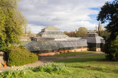 Glasgow Botanik Bahçeleri Glasshouse 'un ana aralığı