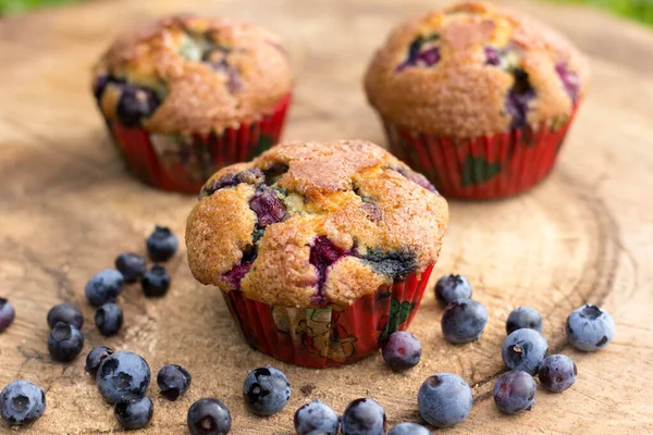 Blueberry Muffins on hard wooden board with fresh blueberries