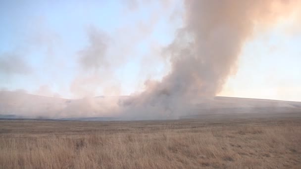 Wypalanie pól w Chakasja — Wideo stockowe