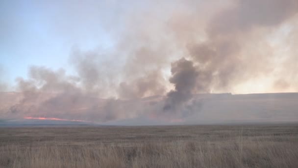 Wypalanie pól w Chakasja — Wideo stockowe