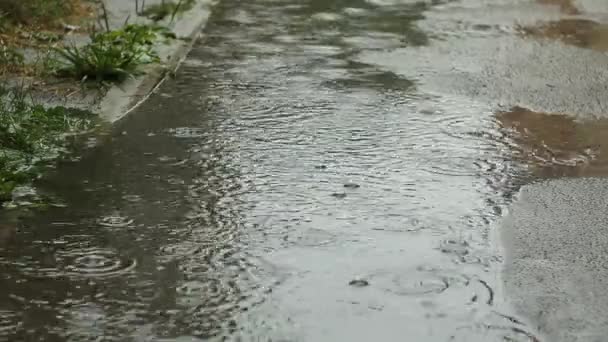 Дождь на лужу воды — стоковое видео