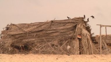 Tamil Nadu, Hindistan