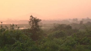 Tamil Nadu, Hindistan