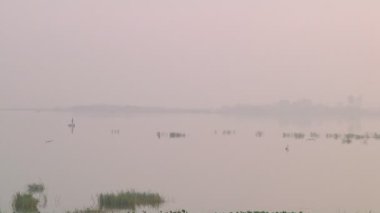 Tamil Nadu, Hindistan