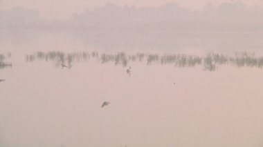 Tamil Nadu, Hindistan