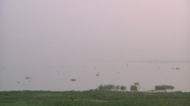 Tamil Nadu, Hindistan